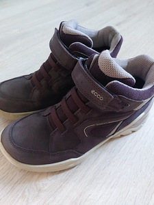 Ecco 35 (1 фото из 3)