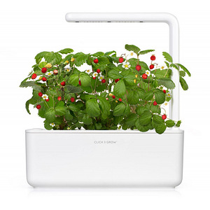 Click and grow (2 фото из 2)