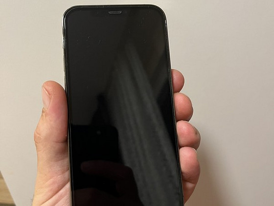 iPhone 12 Pro с двойной SIM-картой