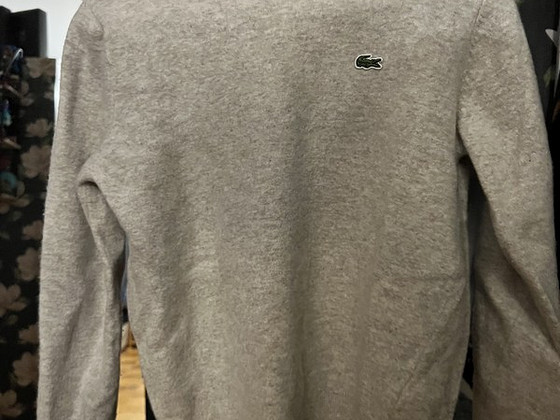 Lacoste
