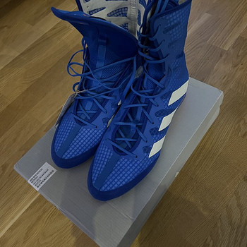 Poksisaapad Adidas Box Hog 4