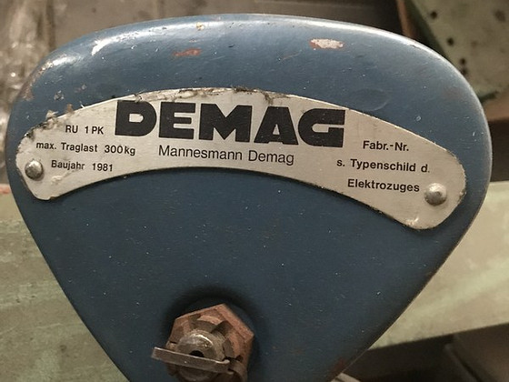 Delfer 300kg
