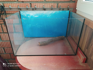 Akvaarium (1 foto / 1)