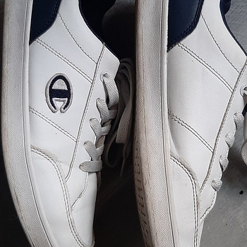 Champion,37