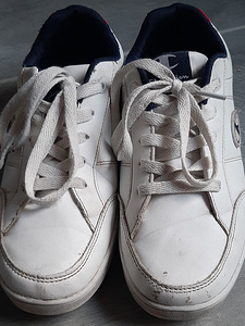 Champion, 37 (2 фото из 4)