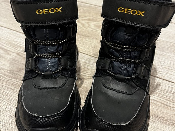 Зимние сапоги Geox