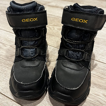 Зимние сапоги Geox