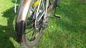 Trek Calypso de Lux рамный электрический велосипед 1000 Вт (7 фото из 7)