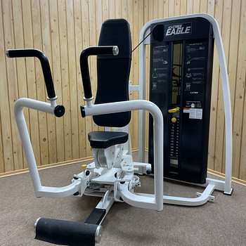 Тренажер Cybex Eagle Fly/Rear Delt