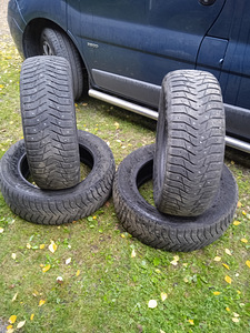 Naastrehvid maastur (3 foto / 6)