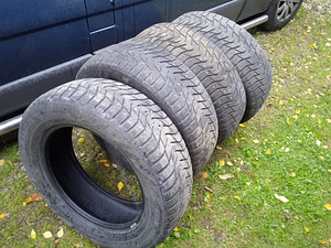 Naastrehvid maastur (4 foto / 6)