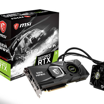RTX 2080 Ti SEA HAWK X