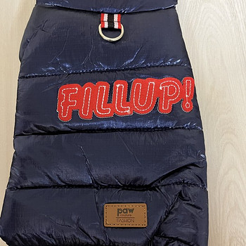 Lemmiklooma vest