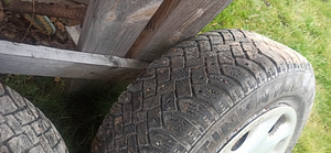 Plekkveljed talverehvidega (5 foto / 5)