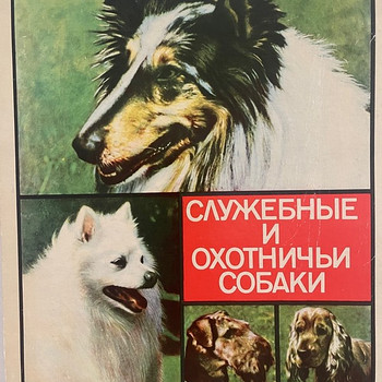 Сувенирные спички коллекционные 2002 год 28 коробков
