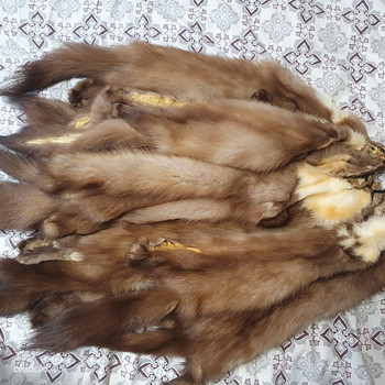 Шкуры куницы