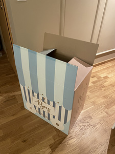 Gender party reveal box (2 foto / 2)