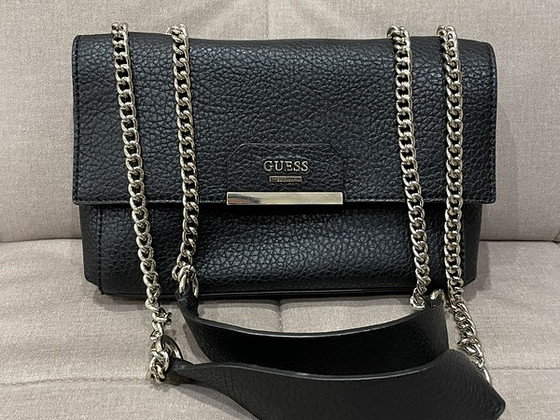 Guess kott