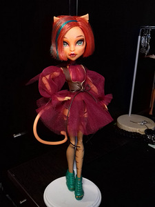 Monster high nukk, 28 cm, TAMM (3 foto / 10)