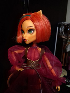 Monster high nukk, 28 cm, TAMM (4 foto / 10)