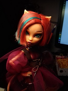 Monster high nukk, 28 cm, TAMM (10 foto / 10)
