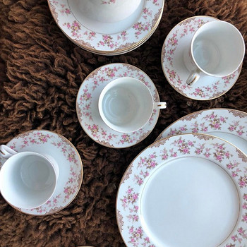 NORITAKE Rose China RI02 Japan komplekt vintage