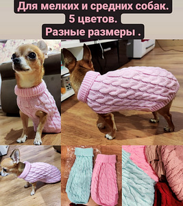 Много новой разной одежды для собак или кошек (5 фото из 7)