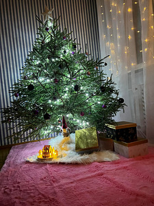 Елка Picea Abies с транспортом (1 фото из 4)