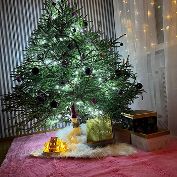 Елка Picea Abies с транспортом