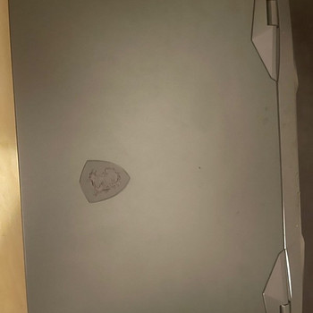 MSI RAIDER GE66