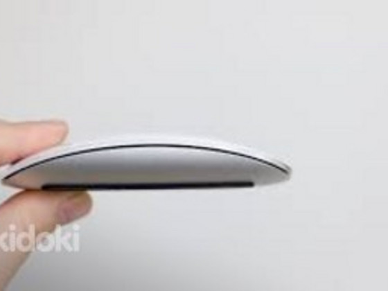 Apple magic mouse (white)
