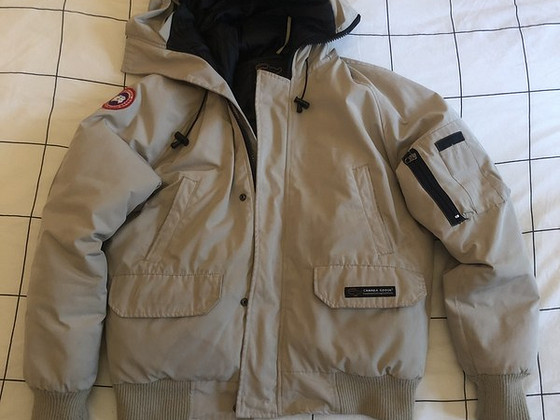 Canada Goose chilliwack