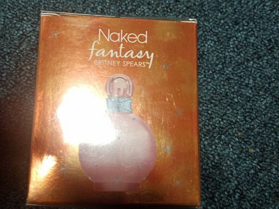 Britney Spears naked fantasy