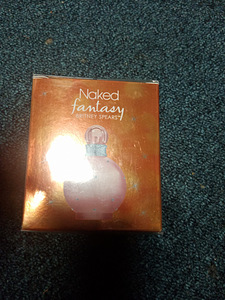 Britney Spears naked fantasy (1 foto / 1)