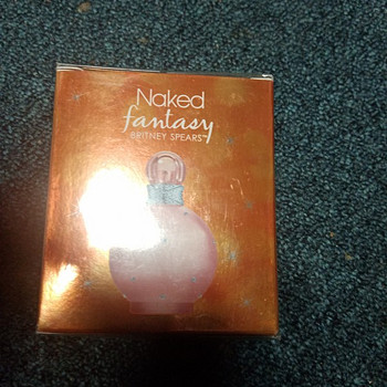 Britney Spears naked fantasy