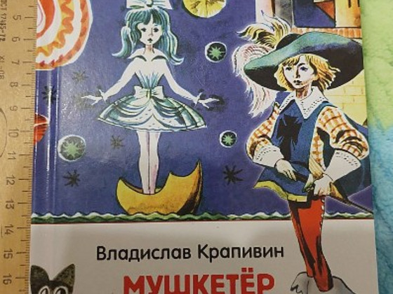 Книга - Мушкетер и фея