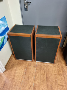 Bose 601 Direct/Reflecting Loudpeaker System (1 foto / 6)