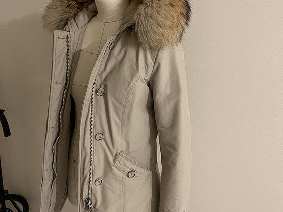 Woolrich