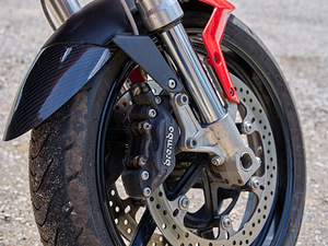 Ducati Multistrada 1100 (3 фото из 9)