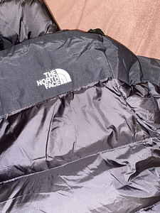 The North Face (3 фото из 4)
