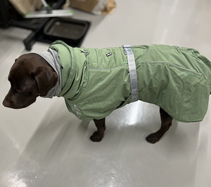 Koera vest (2 foto / 9)