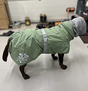 Koera vest (3 foto / 9)