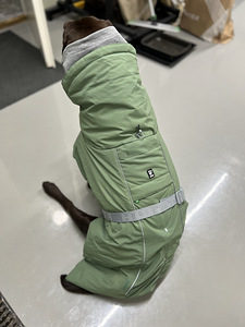 Koera vest (4 foto / 9)