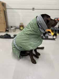 Koera vest (5 foto / 9)