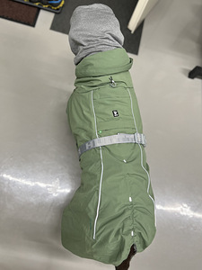 Koera vest (9 foto / 9)