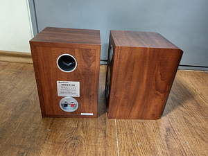 Audio pro Basiq S 100 (3 фото из 3)