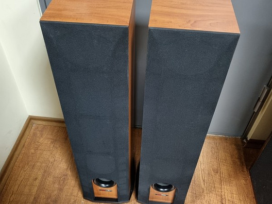 НАПОЛЬНЫЕ КОЛОНКИ POLK AUDIO R30