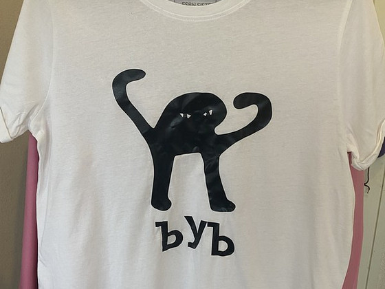 T-särgid