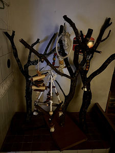 Ronimispuu (5 foto / 7)