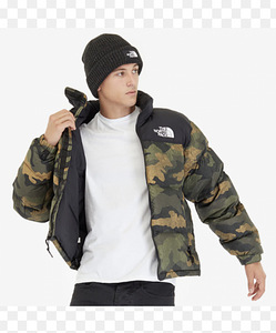 The north face куртка (3 фото из 3)